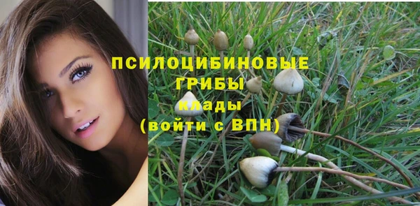 гашиш Аркадак